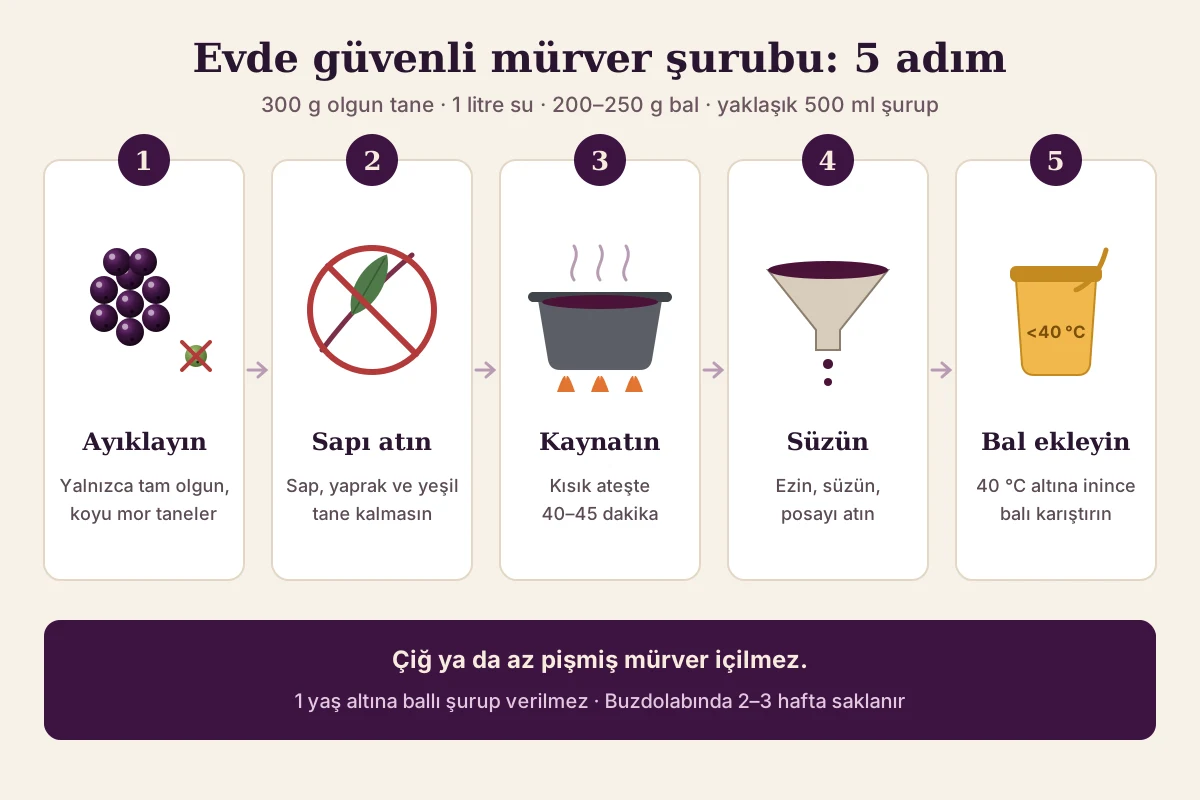 Evde güvenli mürver şurubu 5 adımda: ayıklayın, sapı atın, 40–45 dakika kaynatın, süzün, 40 °C altında bal ekleyin