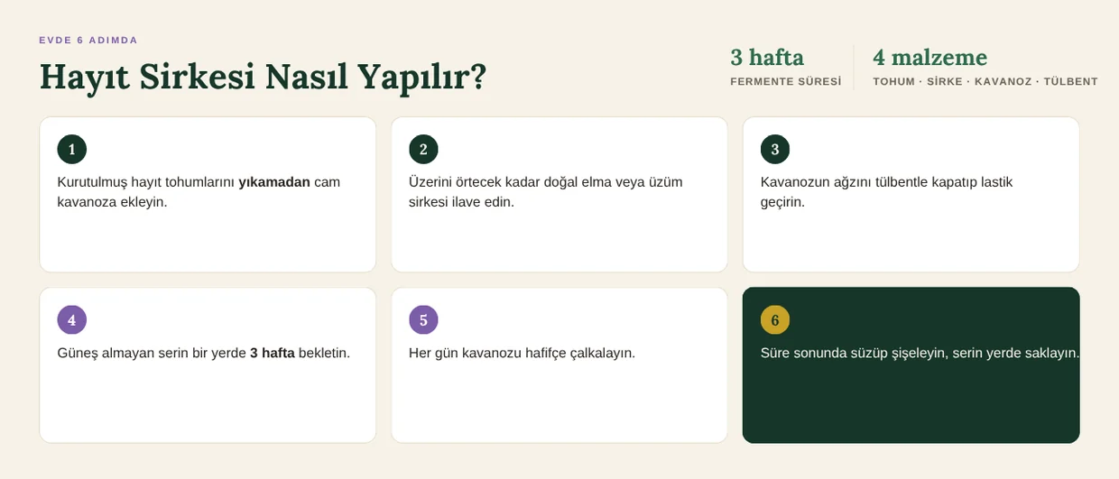Hayıt sirkesi nasıl yapılır: evde 6 adımda hazırlama — kavanoza tohum ekleme, sirke ilavesi, tülbentle kapatma, 3 hafta bekletme, çalkalama ve süzme