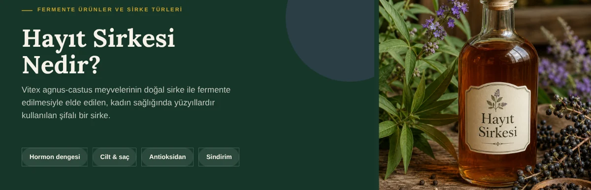 Hayıt sirkesi nedir: Vitex agnus-castus meyvelerinin doğal sirke ile fermente edilmesiyle elde edilen şifalı sirke şişesi