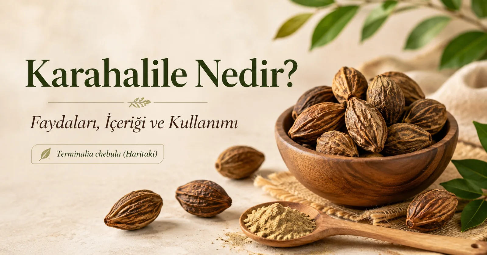 Karahalile Nedir? Faydaları, İçeriği ve Nasıl Kullanılır? (2026 Rehberi)