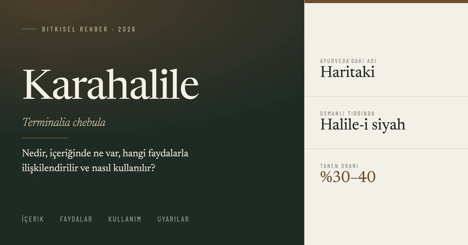 Karahalile (Terminalia chebula) — Ayurveda'da Haritaki, Osmanlı tıbbında halile-i siyah; tanen oranı %30-40