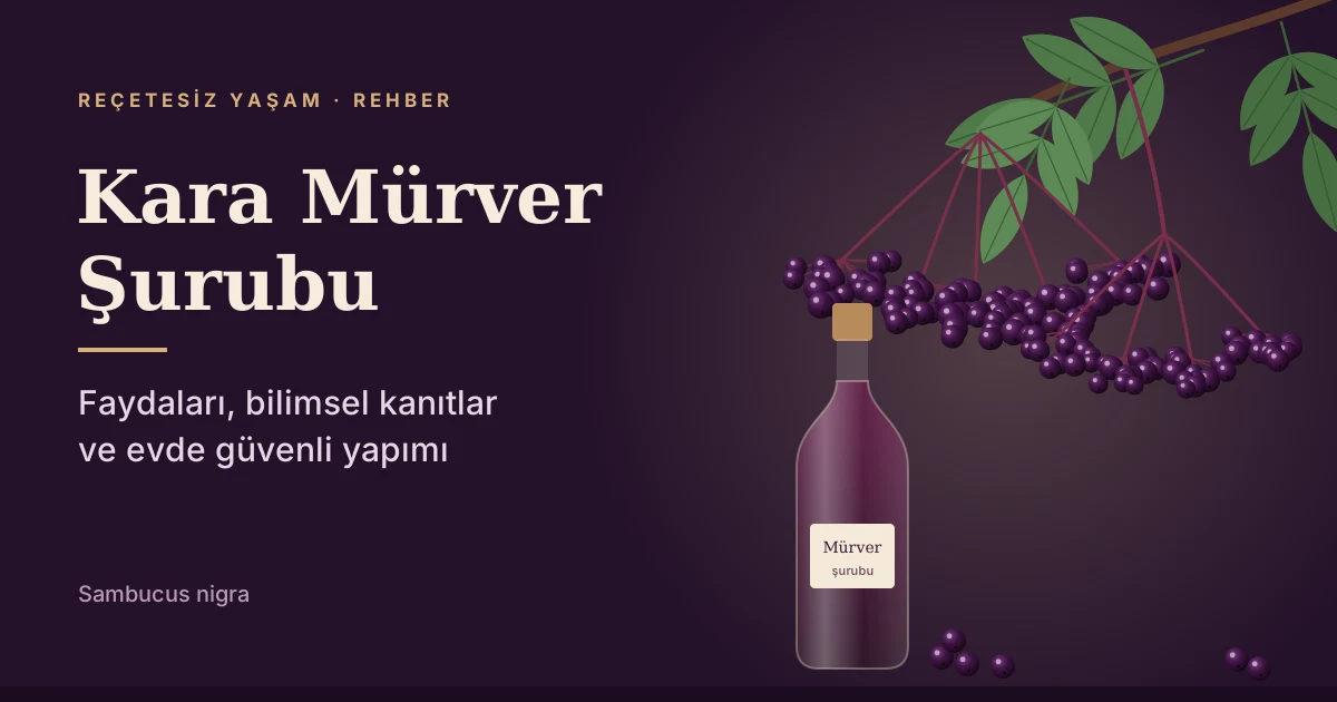 Kara Mürver Şurubu: Faydaları, Bilimsel Kanıtlar ve Evde Yapımı