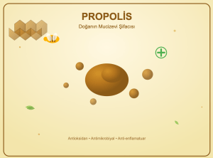 Propolisin İnanılmaz Faydaları: Doğanın Mucizevi Şifacısı – Propolis Nedir? Doğanın En Güçlü Antibiyotiği